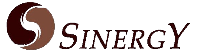 Sinergy